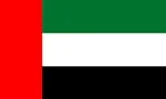 Dubai Flag